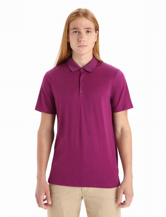 Camisa Polo Icebreaker Merino Tech Lite II Corta Sleeve Hombre Morados Oscuro | WID6452XZ