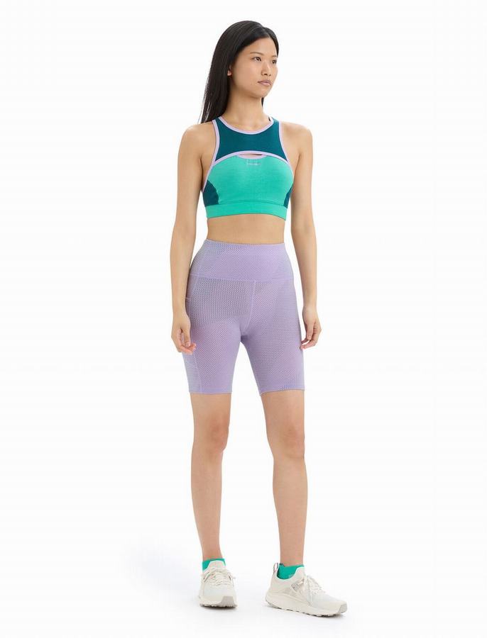 Bermudas Icebreaker Merino Fastray High Rise Gridlines Mujer Morados Claro | TUB191PB