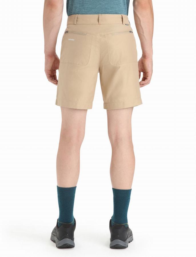 Bermudas Icebreaker Merino Hike Hombre Marrom | VZF8354PK