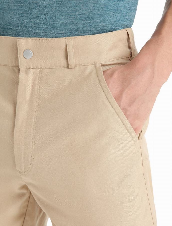 Bermudas Icebreaker Merino Hike Hombre Marrom | VZF8354PK