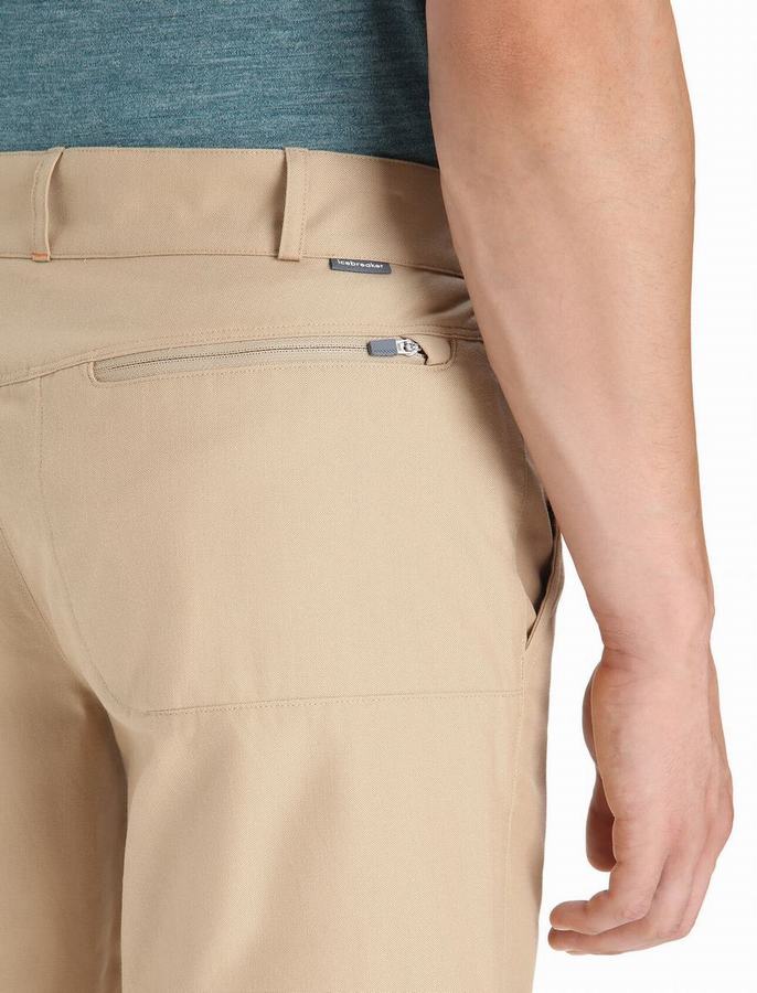 Bermudas Icebreaker Merino Hike Hombre Marrom | VZF8354PK