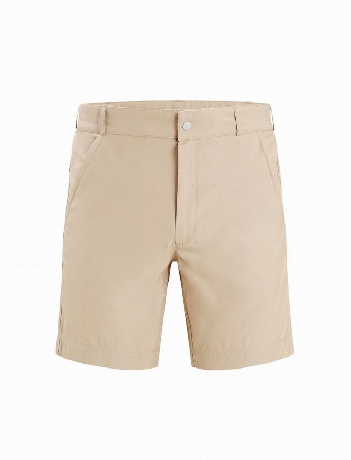 Bermudas Icebreaker Merino Hike Hombre Marrom | VZF8354PK