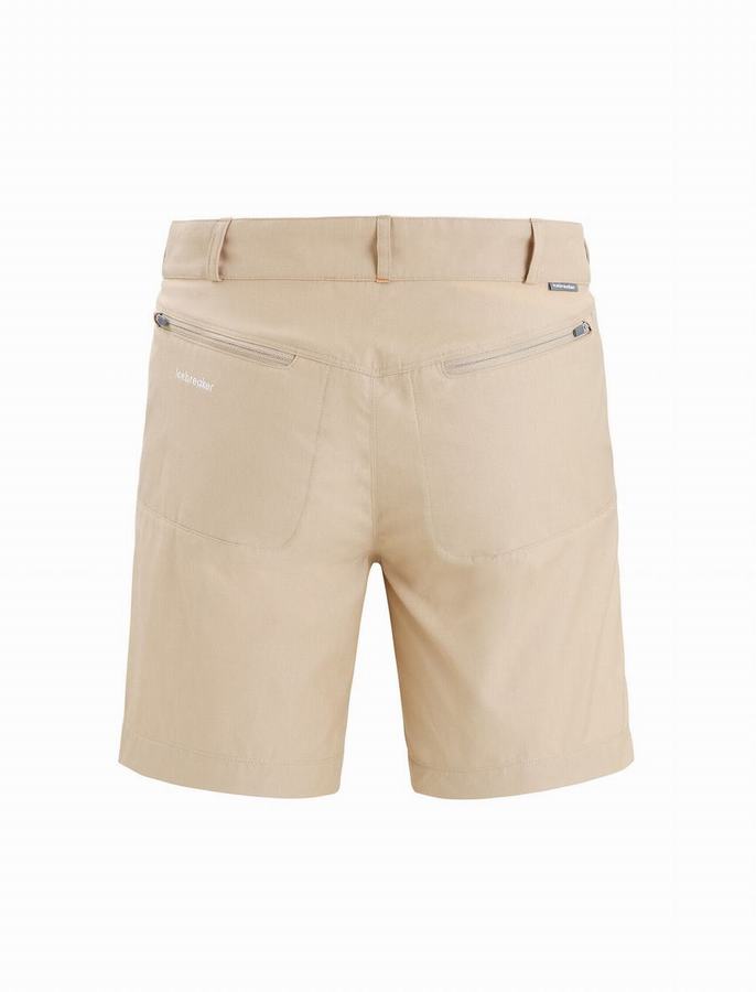 Bermudas Icebreaker Merino Hike Hombre Marrom | VZF8354PK