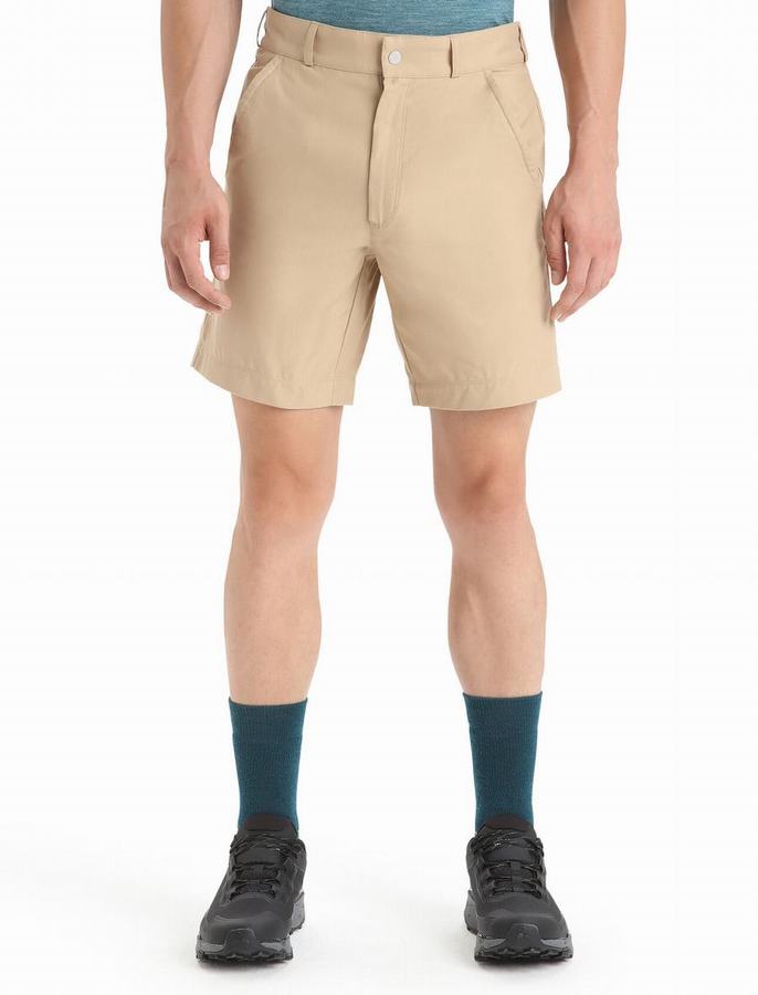 Bermudas Icebreaker Merino Hike Hombre Marrom | VZF8354PK