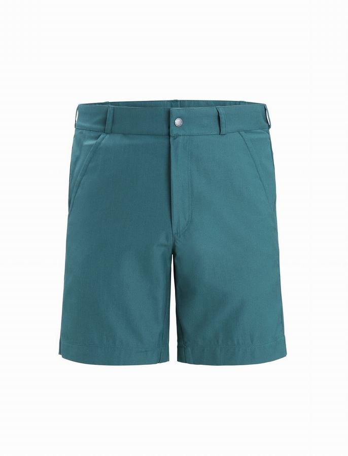 Bermudas Icebreaker Merino Hike Hombre Verdes Azules | YOY5823RC