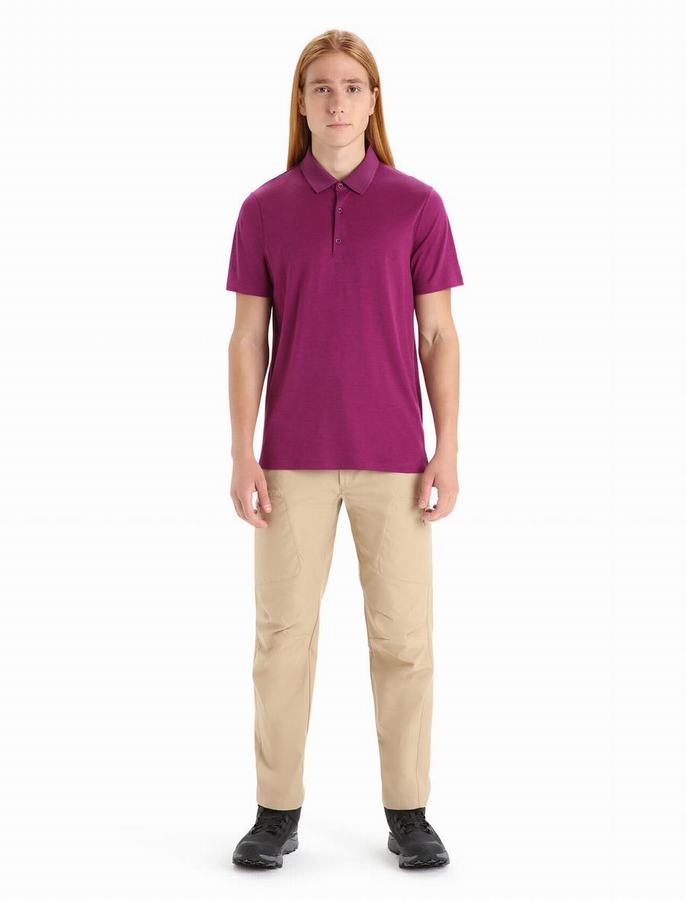 Camisa Polo Icebreaker Merino Tech Lite II Corta Sleeve Hombre Morados Oscuro | WID6452XZ