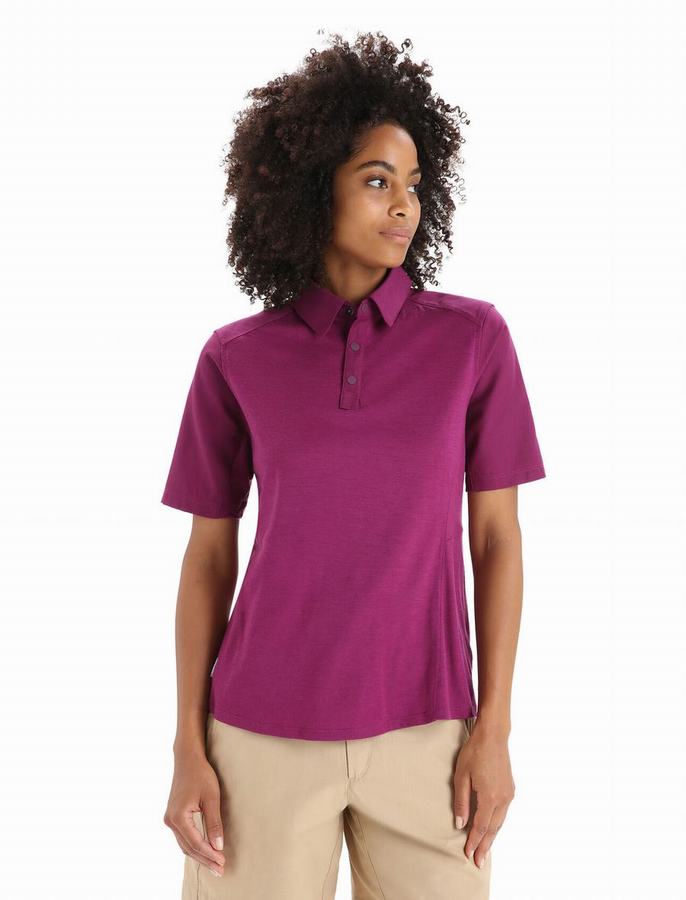 Camisas Icebreaker Merino Hike Corta Sleeve Mujer Morados Oscuro | YPI791JB