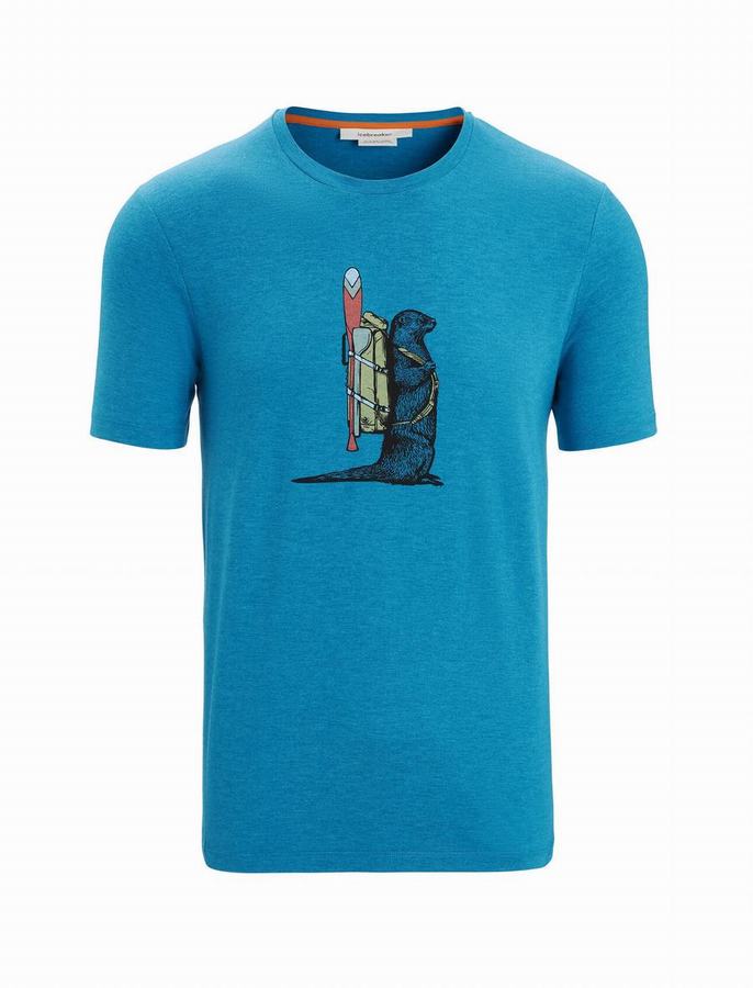 Camiseta Icebreaker Merino Central Classic Corta Sleeve Otter Paddle Hombre Azules | BEH3590UN