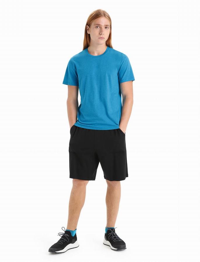 Camiseta Icebreaker Merino Central Classic Corta Sleeve Hombre Azules | IWX5514MZ