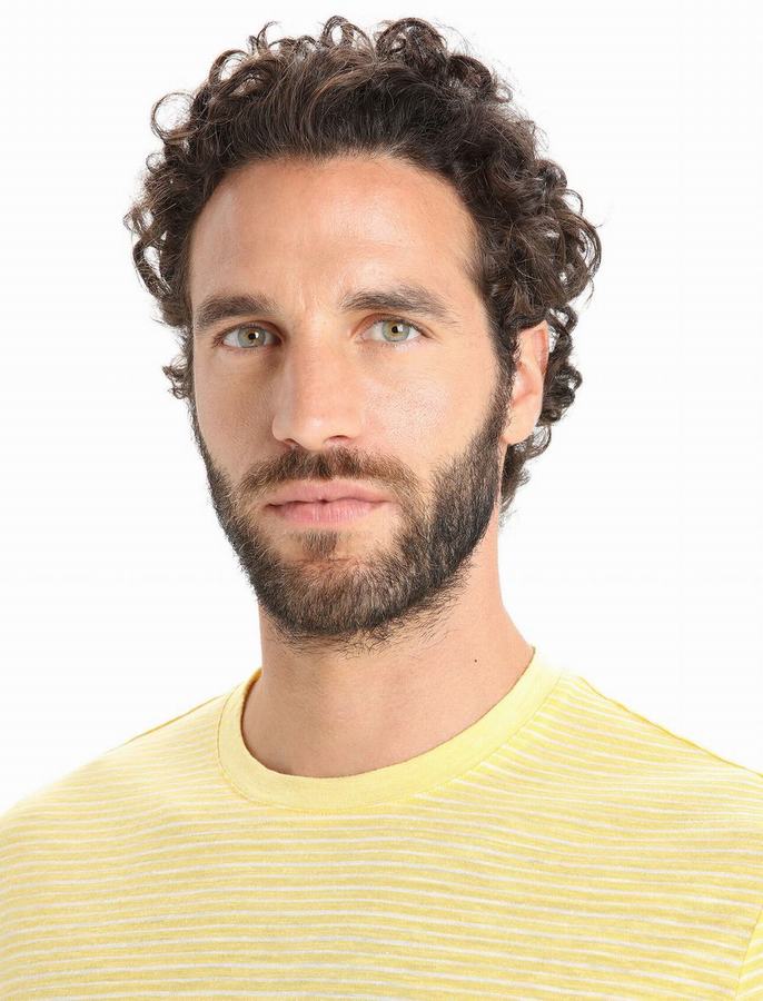 Camiseta Icebreaker Merino Linen Corta Sleeve Stripe Hombre Amarillos Blancos | VRS1166DR