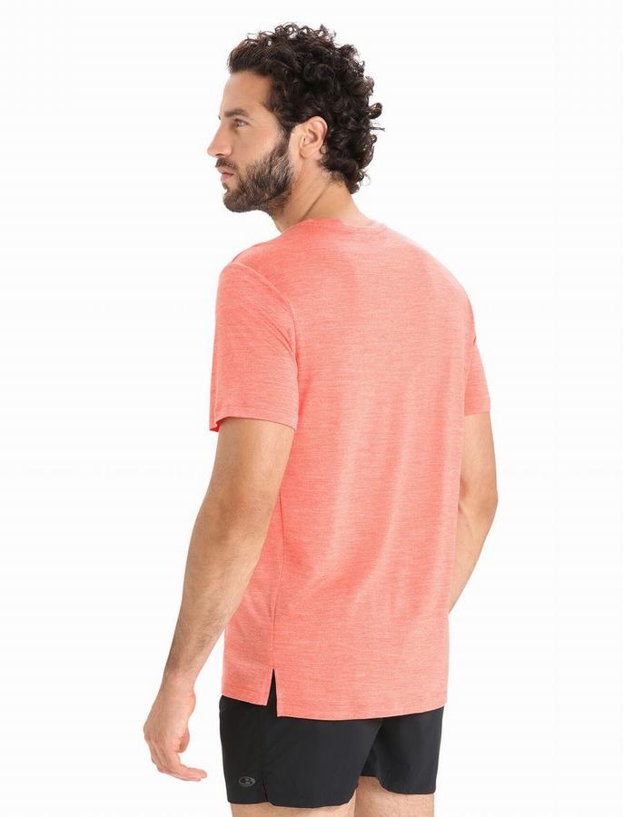 Camiseta Icebreaker Merino Sphere II Corta Sleeve Hombre Naranjas | CTU434FW