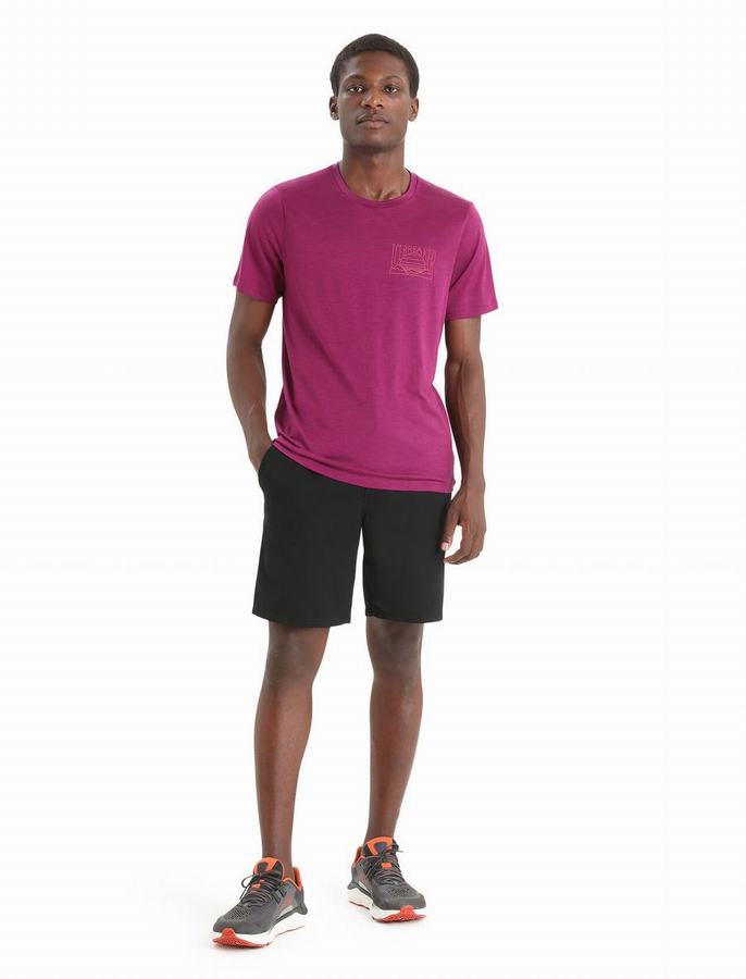 Camiseta Icebreaker Merino Tech Lite II Corta Sleeve Mountain Sunset Hombre Morados Oscuro | EIE618FG