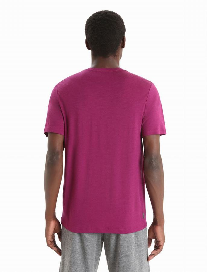 Camiseta Icebreaker Merino Tech Lite II Corta Sleeve Hombre Morados | GUV352JR