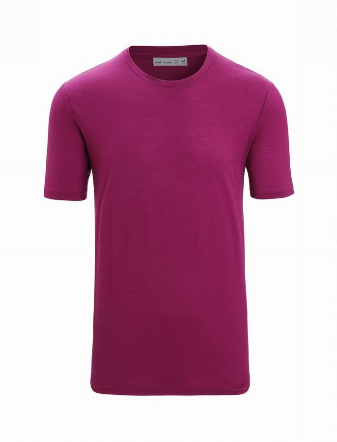 Camiseta Icebreaker Merino Tech Lite II Corta Sleeve Hombre Morados | GUV352JR