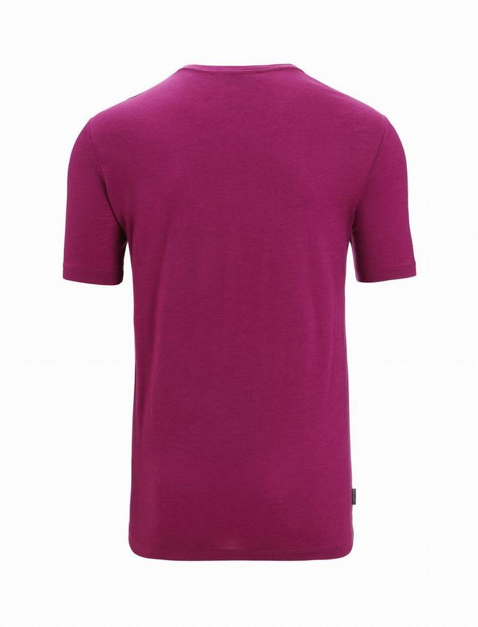 Camiseta Icebreaker Merino Tech Lite II Corta Sleeve Hombre Morados | GUV352JR