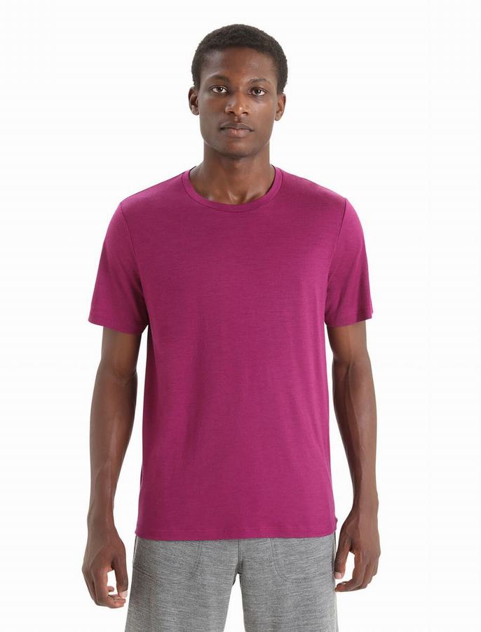 Camiseta Icebreaker Merino Tech Lite II Corta Sleeve Hombre Morados | GUV352JR