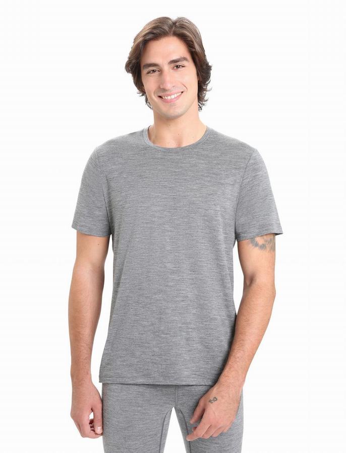 Camiseta Icebreaker Merino Tech Lite II Corta Sleeve Hombre Grises | JRG851BT