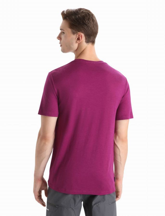 Camiseta Icebreaker Merino Tech Lite II Corta Sleeve Hombre Morados Oscuro | TTR6978UR