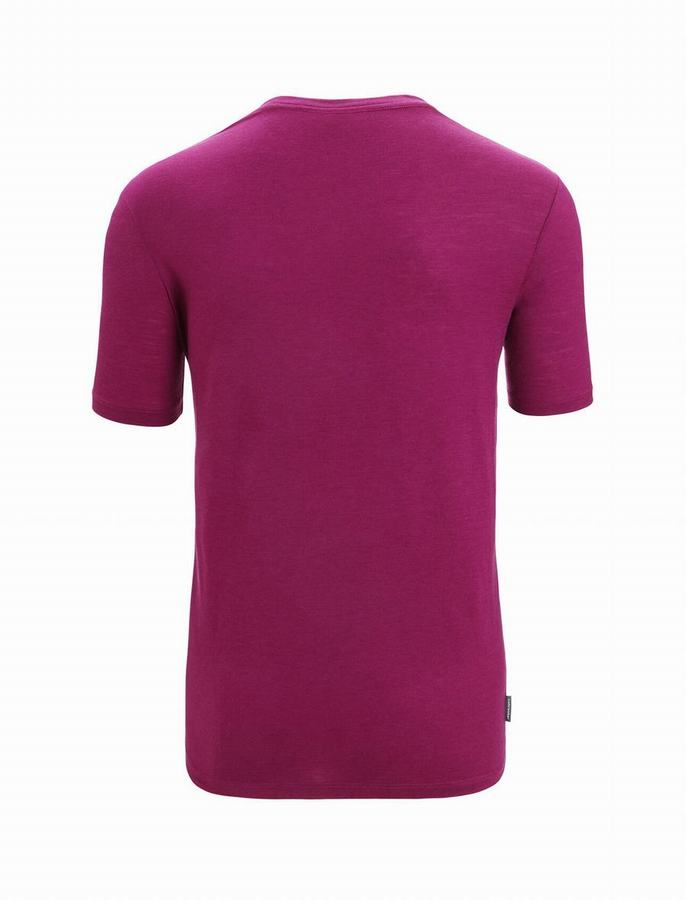 Camiseta Icebreaker Merino Tech Lite II Corta Sleeve Hombre Morados Oscuro | TTR6978UR