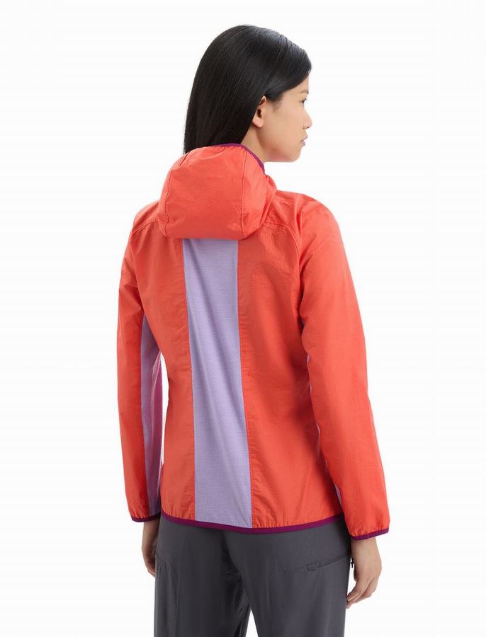 Chaquetas Icebreaker Shell+™ Merino Algodon Windbreaker Mujer Naranjas | QHM4847BY