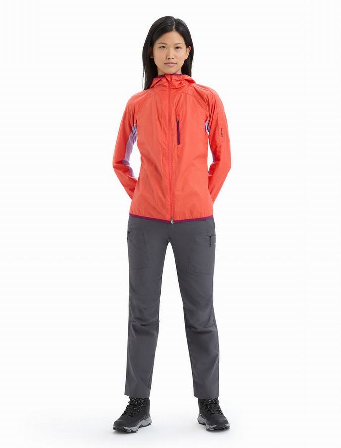 Chaquetas Icebreaker Shell+™ Merino Algodon Windbreaker Mujer Naranjas | QHM4847BY