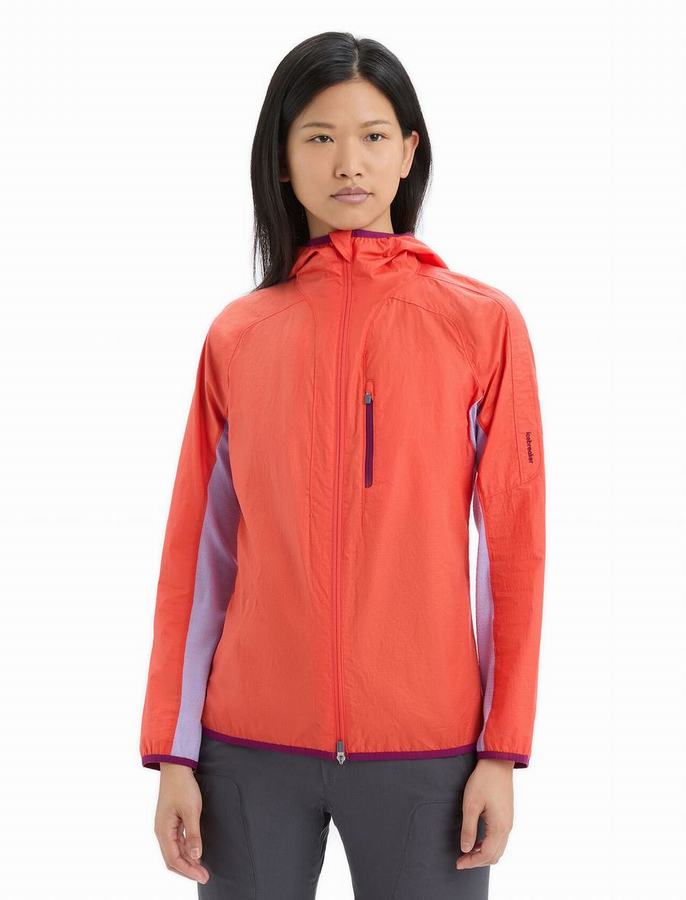 Chaquetas Icebreaker Shell+™ Merino Algodon Windbreaker Mujer Naranjas | QHM4847BY