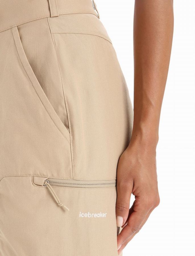 Pantalones Icebreaker Merino Hike Mujer Marrom | YBD4825DA