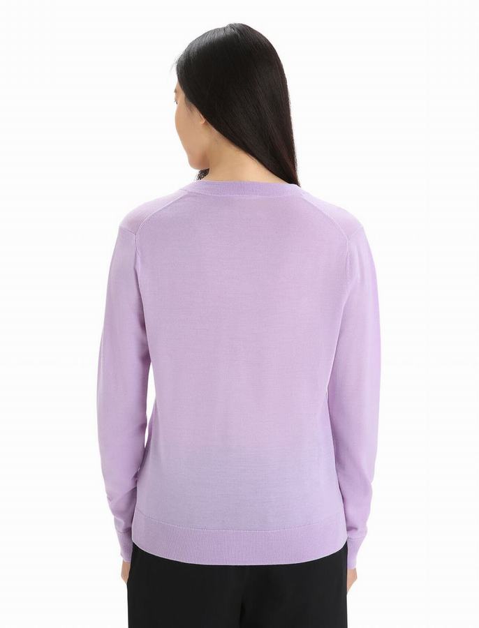 Prendas de Punto Icebreaker Merino Wilcox Long Sleeve V Neck Mujer Morados Claro | AHG3334QY