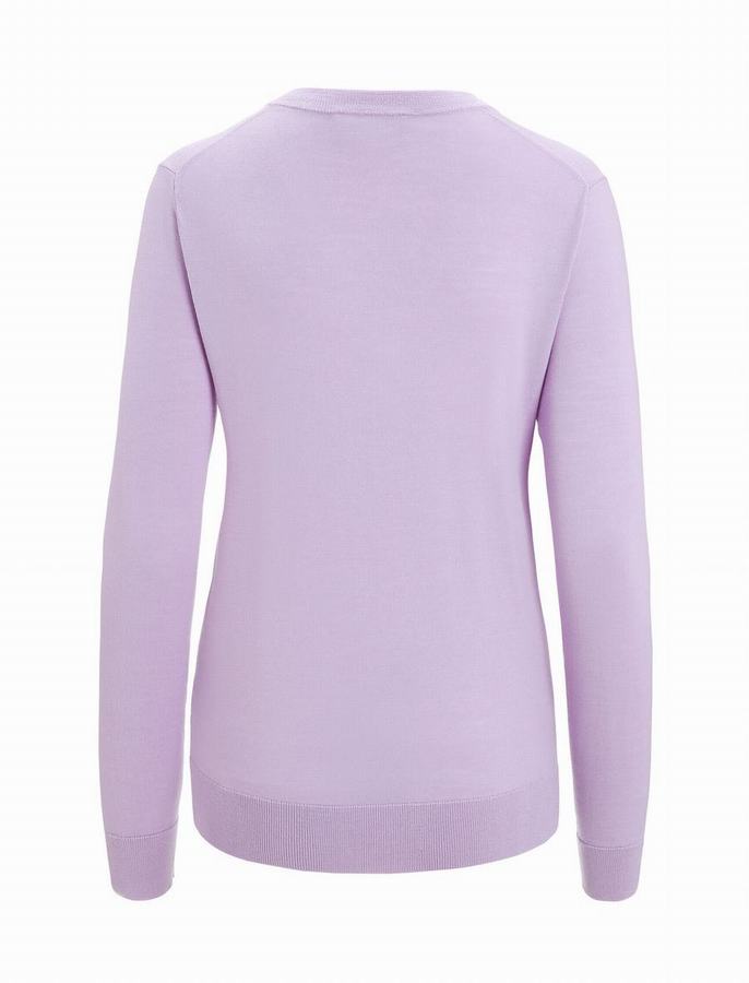 Prendas de Punto Icebreaker Merino Wilcox Long Sleeve V Neck Mujer Morados Claro | AHG3334QY