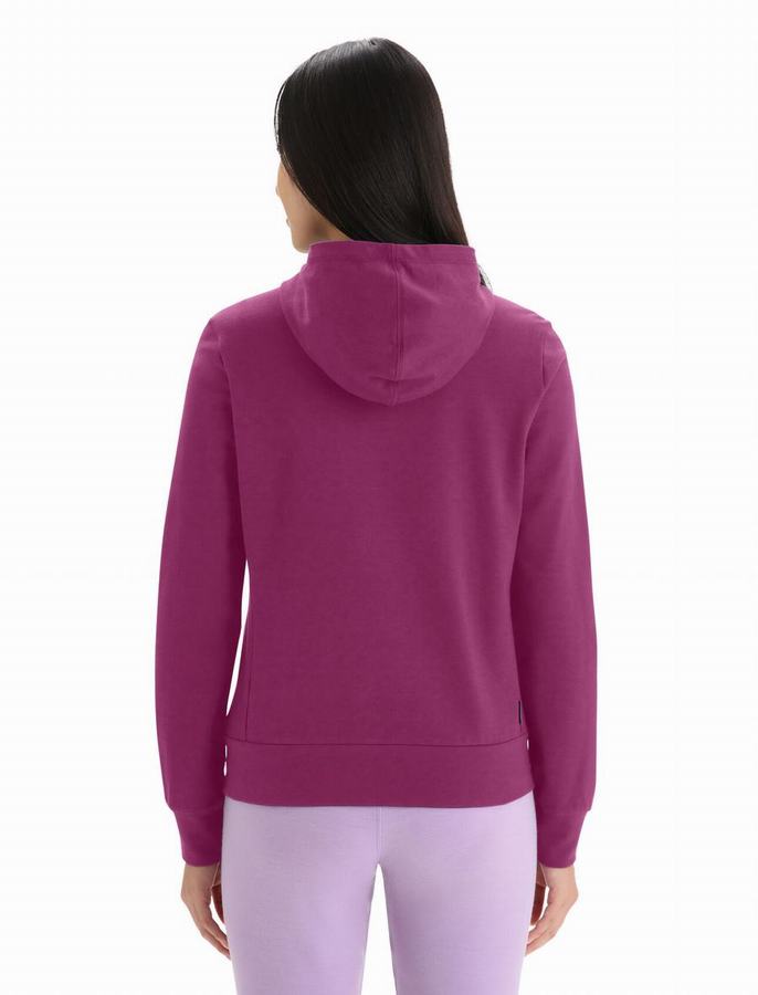 Sudadera Con Capucha Icebreaker Merino Central Classic Long Sleeve Zip Mujer Morados Oscuro | GDQ2730RJ