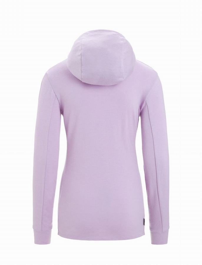 Sudadera Con Capucha Icebreaker Merino Quantum III Long Sleeve Zip Mujer Morados Claro | HGF1866UQ