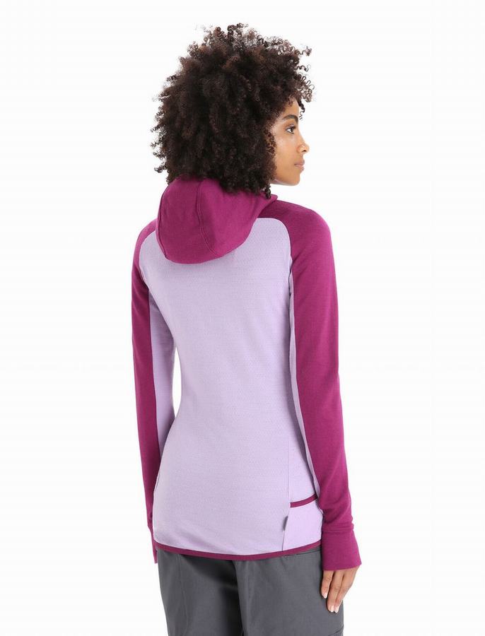 Sudadera Con Capucha Icebreaker ZoneKnit™ Merino Long Sleeve Zip Mujer Morados | IBJ6753JM