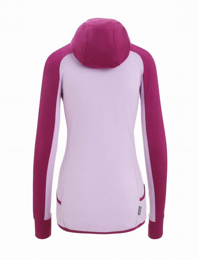 Sudadera Con Capucha Icebreaker ZoneKnit™ Merino Long Sleeve Zip Mujer Morados | IBJ6753JM